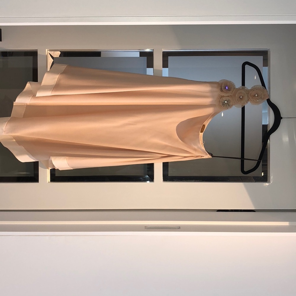 Ali Ro Dress Evening